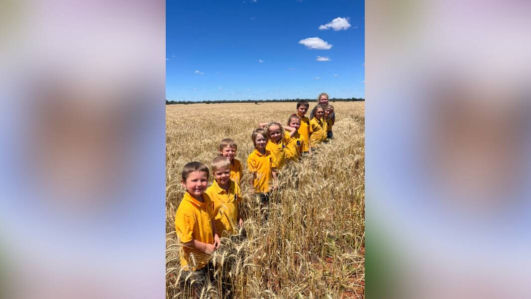Hermidale Public students standing in their 85 hectare wheat crop. Picture supplied